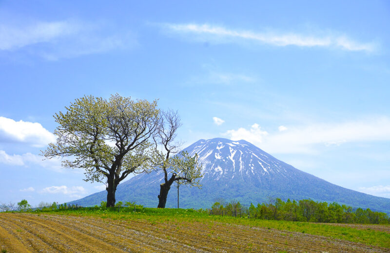 画像に alt 属性が指定されていません。ファイル名: img_12-800x520.jpg